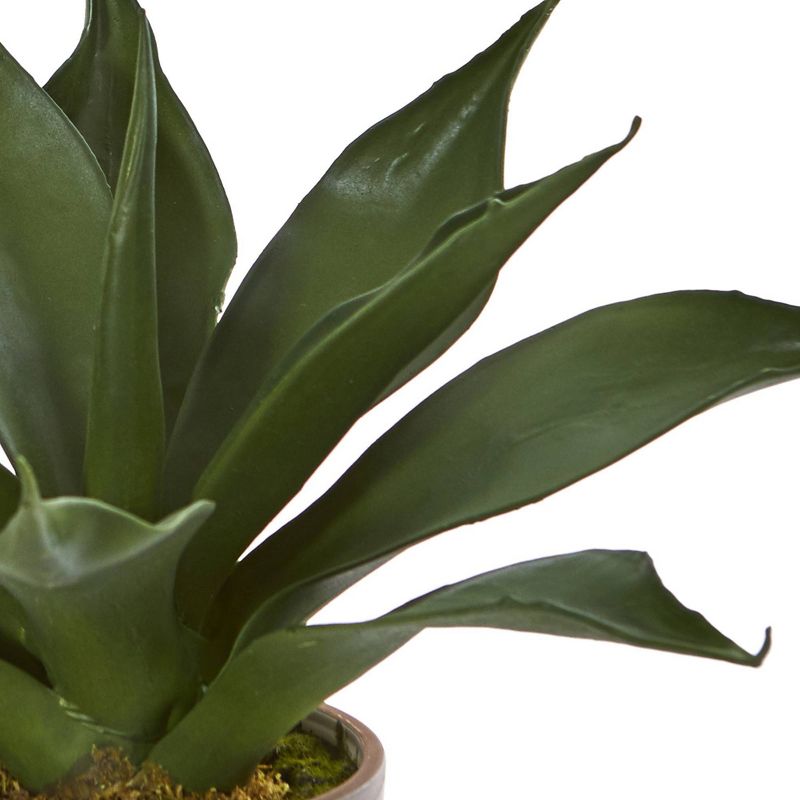 14&#34; x 9&#34; Artificial Agave Succulent in Decorative Planter - Nearly Natural, 3 of 5