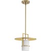 Progress Lighting Mystic 1-Light Pendant, Steel, Brushed Bronze, Etched White Glass Shade - 3 of 3