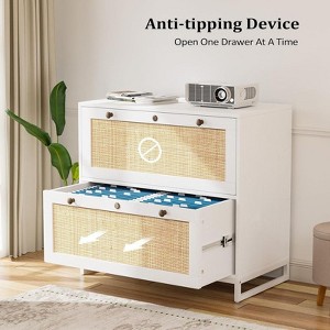 Karl Home | 29.5'' Wide 2 -Drawer Real Rattan File Cabinet - 1 of 4