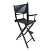Aghana Digitals 2-Piece Foldable Director's Chairs with Black Populus Frame & Canvas, 176LBS - 3 of 4