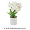 Unique Bargains Artificial Plants Five-Headed Daffodil Bonsai Plastic 2.76"x2.76"x9.45" 1 Pcs - 3 of 4