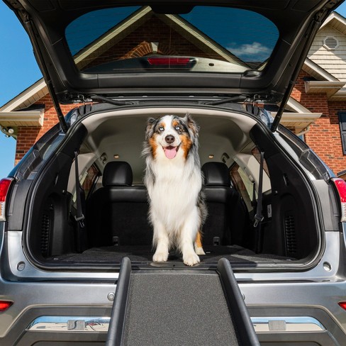 Merry products collapsible outlet pet ramp