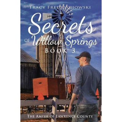 Secrets of Willow Springs - Book 3 - by  Tracy Fredrychowski (Paperback)