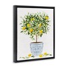 Stupell Industries Lemon Tree Detailed Planter Floating Frame Canvas Art - 2 of 4