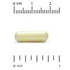 California Gold Nutrition Fisetin with Novusetin, 100 mg, 90 Veggie Capsules - 3 of 4