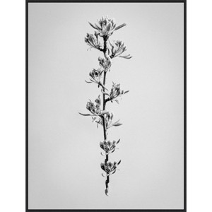 32" x 42" Amid The Flowers by Teis Albers - Amanti Art: Modern Botanical Lithograph - 1 of 4