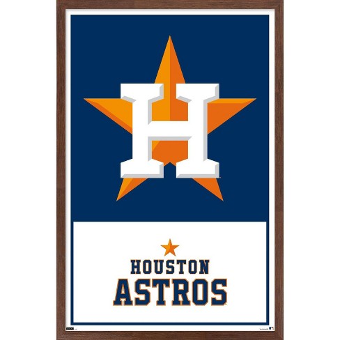 Houston Astros Birthday Decorations 