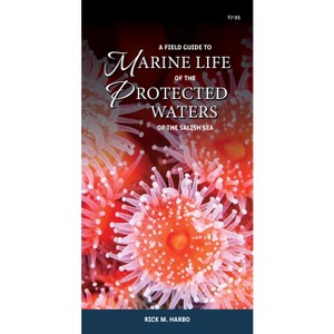 A Field Guide to Marine Life of the Protected Waters of the Salish Sea - by  Rick M Harbo (Paperback) - 1 of 1