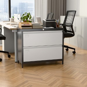 SUXXAN 2 Drawer Metal File Cabinet, with Standing Feet and Card Slot, 29.53" H X 34.5" L X 15.75" W, Assembly Required - 1 of 4