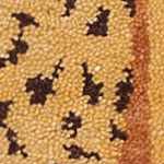 burgundy, denim, dusty pink, orange, peach, mauve