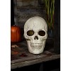 Animated Giant Plastic Skull Halloween Decoration, 19 3/4" - 2 of 4