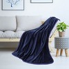 PiccoCasa 330 GMS Microfiber Polyester Luxury Flannel Fleece Soft Bed Blankets - 2 of 4