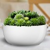 Tierra Garden 6.3" Shiny White Basel Collection Indoor Ceramic Bowl-shaped Pot – Stylish, Waterproof, No Drainage Holes, Made in Germany - 3 of 4