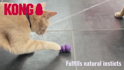 KONG Active Treat Ball Cat Toy