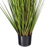 Green Lemongrass Potted - 3 of 3