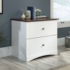 2 Drawer Lateral File Cabinet - Sauder - 2 of 4