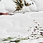 white christmas