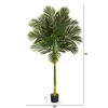 Nearly Natural 6-ft Golden Cane Artificial Palm Tree - 2 of 4