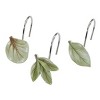 Avanti Linens Ombre Leaves Shower Curtain & Hook Set - 3 of 3