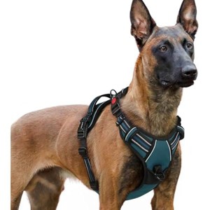 rabbitgoo Dog Harness for Large, No Pull Pet Harness with 3 Buckles, , Walking Reflective Pet Vest for Extra Large Dogs,Blue Coral,XL - 1 of 1