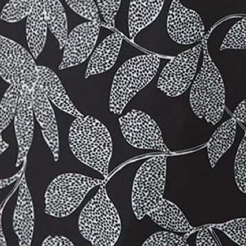 black dot palm