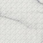 grey/white
