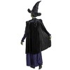 NBCUniversal Adult Wicked Elphaba Halloween Costume - 2 of 4