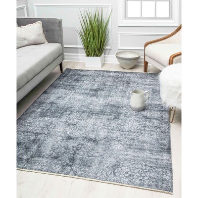 Rugs America Isle Transitional Vintage Area Rug