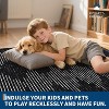 Acekool 2x6 Ft Black Striped Runner Rug, Washable Low Pile Non-Slip Mat for Entryway, Kitchen, Front Door, Soft and Kid-Friendly - 4 of 4