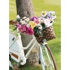 Sullivans Artificial Anemone Stem 14"H Off-White Flowers - 4 of 4