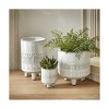 tagltd Olema Carved Grey Glazed Terracotta Planter Large, 4.72L x 4.72W x 7.09H inches, its a 6" drop in plant. Decorative Use Only - 2 of 2