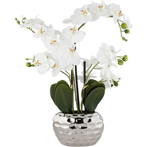 rester tyv symbol Dahlia Studios Potted Faux Artificial Flowers Realistic White Phalaenopsis  Orchid In Silver Pot Home Decoration Office 23" High : Target