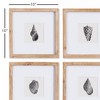 Plum & Post Seashell Petite Prints Set of 4 - 3 of 4