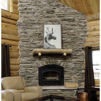 Gray Framed Moose Canvas Wall Art, 23x33
