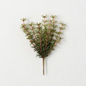 Sullivans Artificial Myrtle Ornamental Green Bush 11"H Green - 1 of 3