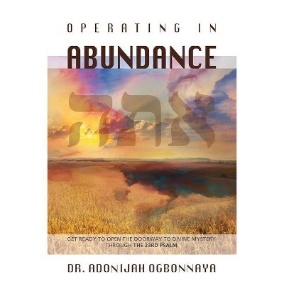 Operating in Abundance - by  Adonijah Ogbonnaya (Paperback)