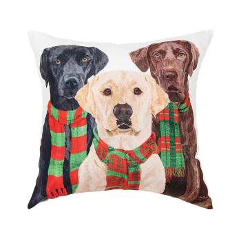 C&F Home Lab Scarves Trio Indoor and Outdoor Throw Pillow