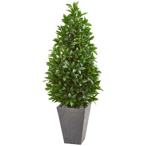 Nearly Natural 57-in Bay Leaf Cone Topiary Tree in Slate Planter UV Resistant (Indoor/Outdoor) - 1 of 4