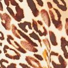 natural leopard
