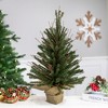 Northlight 1.5' Unlit Artificial Christmas Tree Warsaw Twig in Burlap Base - 2 of 4