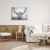 Stupell Industries Grey Highland Cow Photograph Canvas Art - 3 of 4