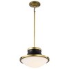 Nuvo Lighting Lafayette 1 - Light Pendant in  Matte Black - 2 of 4