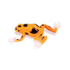 Collectible Wildlife Gifts | Frog, Orange and Black Poison Dart Frog, Plastic Toy, Realistic, Rainforest, Model, Gift,    3"    F4095 B54 - 1 of 4