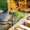 Lehman's Stoney Acres Beekeeping Beehive Cover, Telescoping Assembled, for 8 Frame Honeybee Hive, Amish Made - 3 of 4