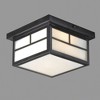 Maxim Lighting Coldwater 2 - Light Flush Mount in  Black - 4 of 4