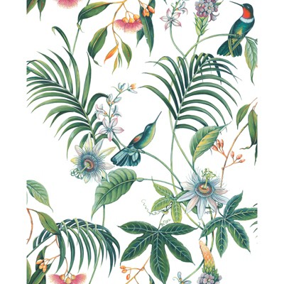 Adilah White Tropical Floral Wallpaper : Target