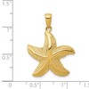 Black Bow Jewelry 14k Yellow Gold 20mm Textured Sea Star Pendant - 4 of 4