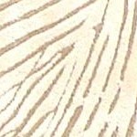 beige/ivory
