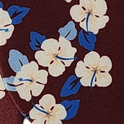 burgundy, blue and white