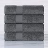 Modern Solid Classic Luxury Egyptian Cotton Towel Set by Blue Nile Mills - 2 of 4
